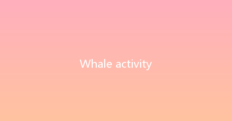 Whale activity 